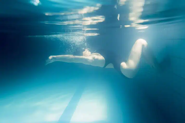 Start, Energie, nachhaltig führen, konzenriert im Wasser, trainieren